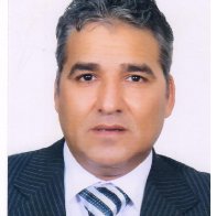 Abdel-Sattar S. Hamad Elgazwy