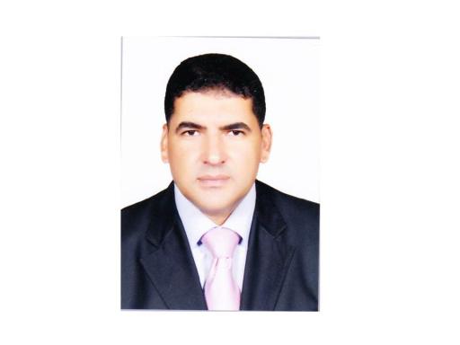 Abdelaleim ElSayed