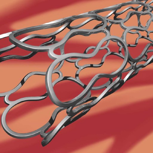 443.01 v8 BMS Stent BroadView, created as 3D model
