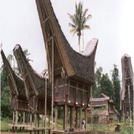 Custom House Batak Tribe Indonesian